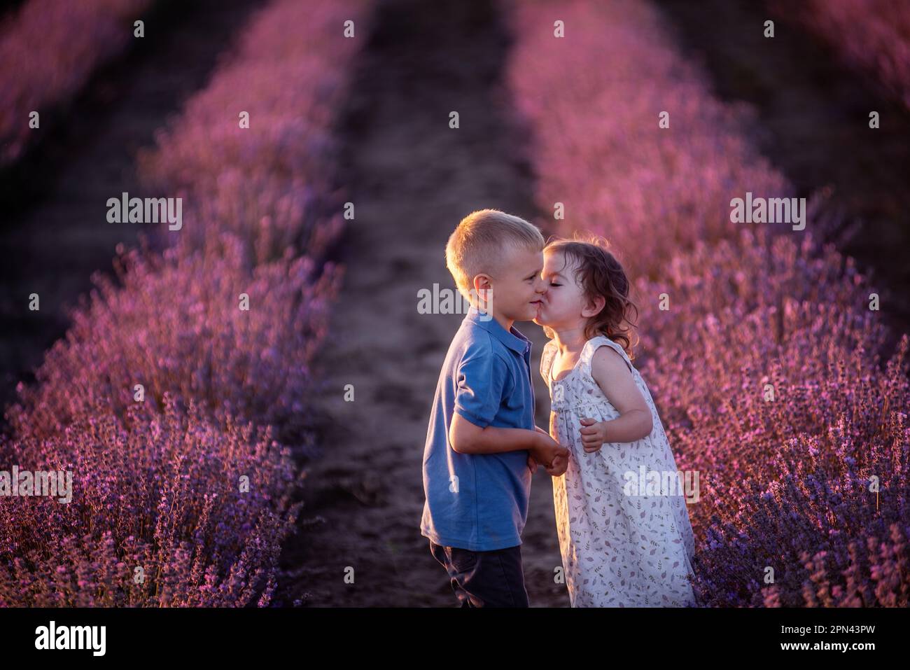 Primo piano ritratto di bambina che bacia la ragazza sulla guancia nelle file di campo di lavanda viola. Coppia carina amorevole dei bambini hanno divertimento nella natura. FAM Foto Stock