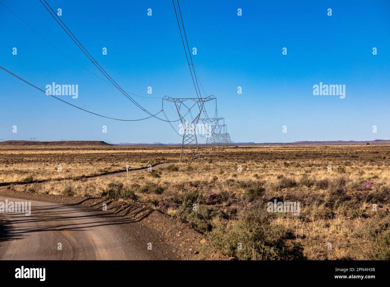 Piloni elettrici ad alta tensione nella regione semi arida di Karoo del Sud Africa in una prospettiva in diminuzione. Foto Stock