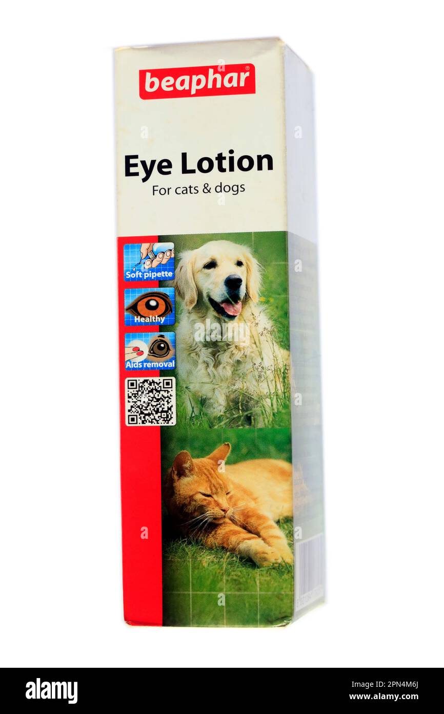Fotografia di Eye Lotion per cani e gatti. Collirio per animali domestici Foto Stock