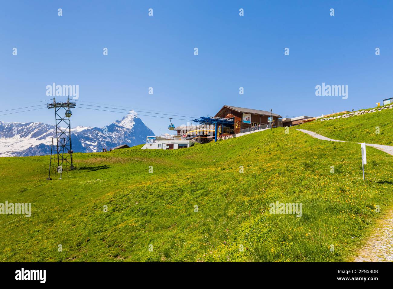 Vista sulla stazione della funivia di Grindelwald-First e sull'Eiger, regione dello Jungfrau, delle Alpi bernesi dell'Oberland, Svizzera in estate Foto Stock