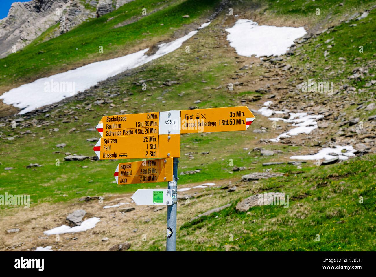 Indicazione di direzione su un sentiero escursionistico vicino a Bachalpsee e Grindelwald-First nella regione Jungfrau delle Alpi bernesi dell'Oberland, Svizzera Foto Stock