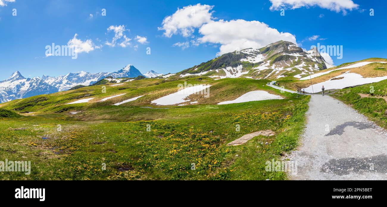 Sentiero escursionistico nei pressi di Bachalpsee sopra Grindelwald-First con vista sulle montagne, tra cui l'Eiger, la regione dello Jungfrau, le Alpi dell'Oberland Bernese, la Svizzera Foto Stock