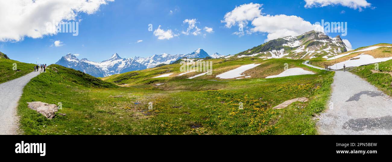 Sentiero escursionistico nei pressi di Bachalpsee sopra Grindelwald-First con vista sulle montagne, tra cui l'Eiger, la regione dello Jungfrau, le Alpi dell'Oberland Bernese, la Svizzera Foto Stock