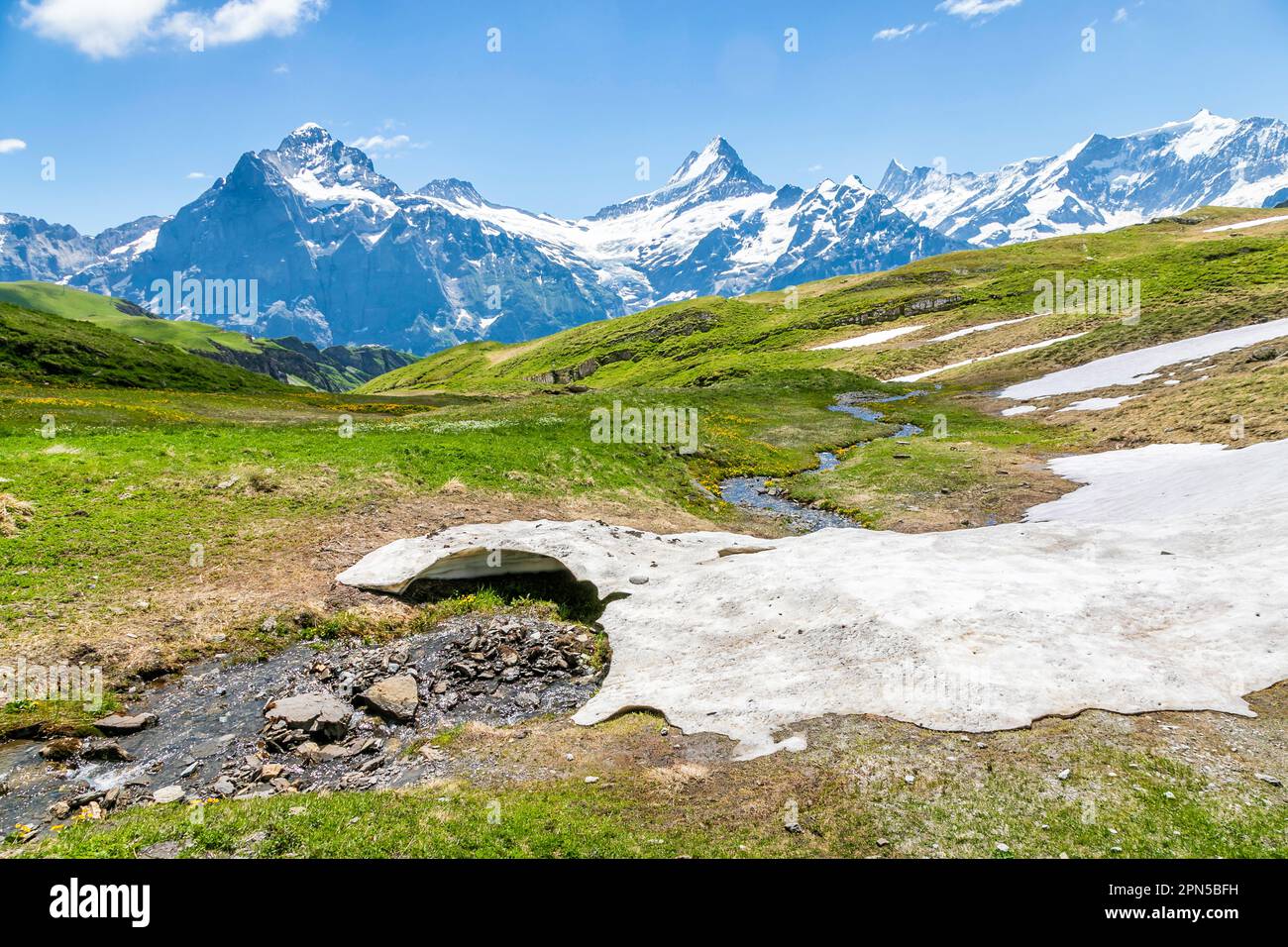 Vista del sentiero nei pressi di Bachalpsee sopra Grindelwald, prima delle montagne di Wetterhorn e Schreckhorn, regione di Jungfrau, Alpi dell'Oberland Bernese, Svizzera Foto Stock