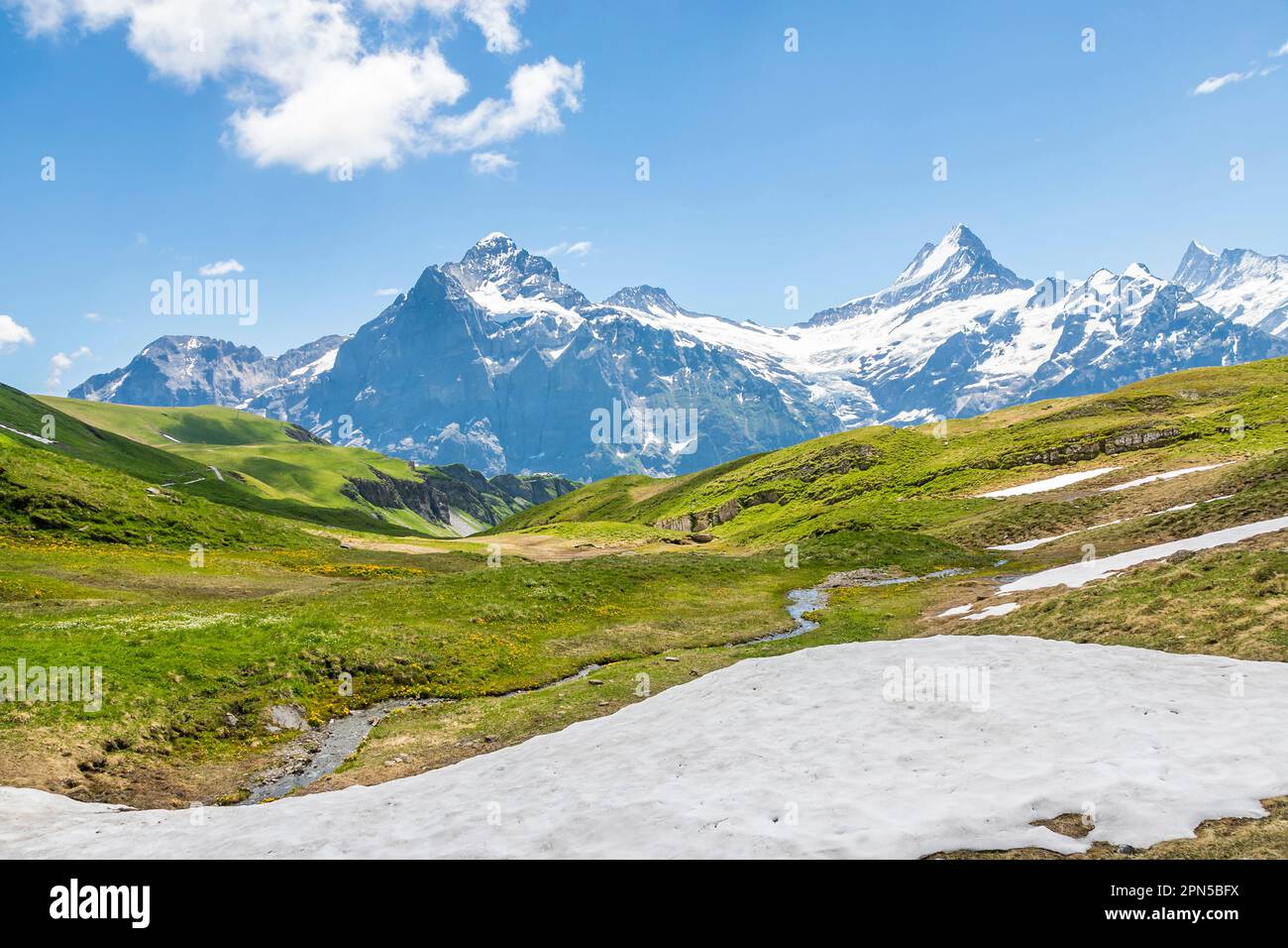 Vista del sentiero nei pressi di Bachalpsee sopra Grindelwald, prima delle montagne di Wetterhorn e Schreckhorn, regione di Jungfrau, Alpi dell'Oberland Bernese, Svizzera Foto Stock