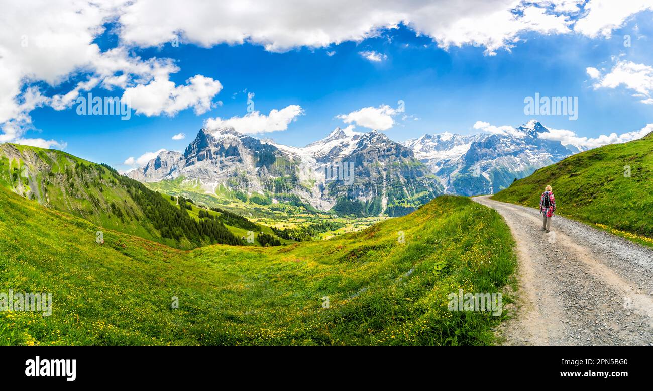Vista panoramica su First, Grindelwald, verso Wetterhorn, Schreckhorn e le montagne Eiger, regione di Jungfrau, Alpi bernesi dell'Oberland, Svizzera Foto Stock