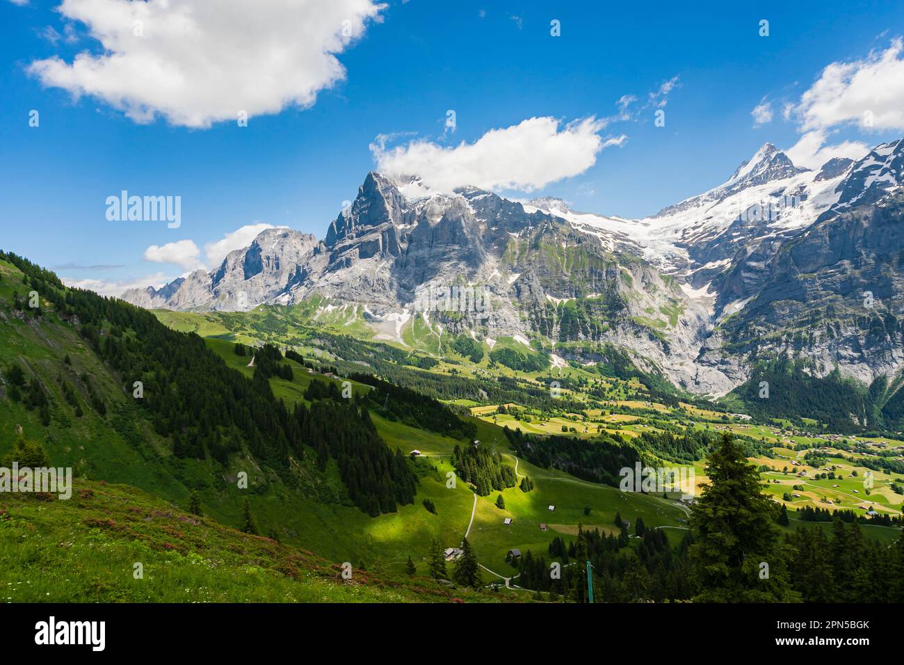 Vista panoramica sopra prima, Grindelwald, verso il Wetterhorn, e le montagne Schreckhorn, regione di Jungfrau, Bernese Oberland Alpi, Svizzera Foto Stock