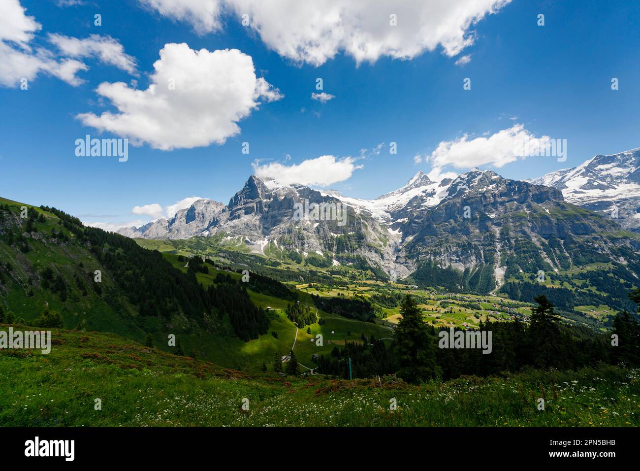 Vista panoramica sopra prima, Grindelwald, verso il Wetterhorn, e le montagne Schreckhorn, regione di Jungfrau, Bernese Oberland Alpi, Svizzera Foto Stock