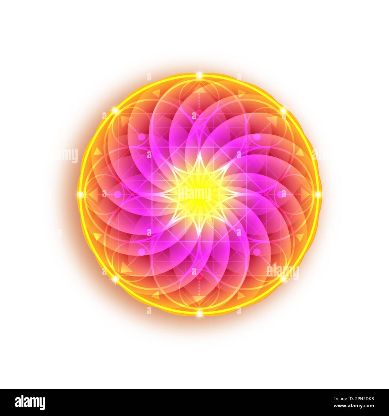 Fiore colorato di loto della vita. Geometria Sacra. Fiore indiano luminoso simbolo di armonia e di equilibrio. Segno di purezza. Logo Torus mandala vettore di design Illustrazione Vettoriale