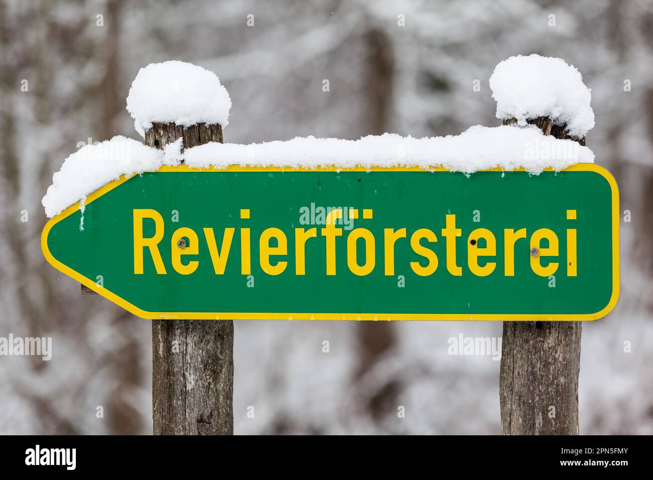 Firmare l'ufficio del ranger della foresta Foto Stock