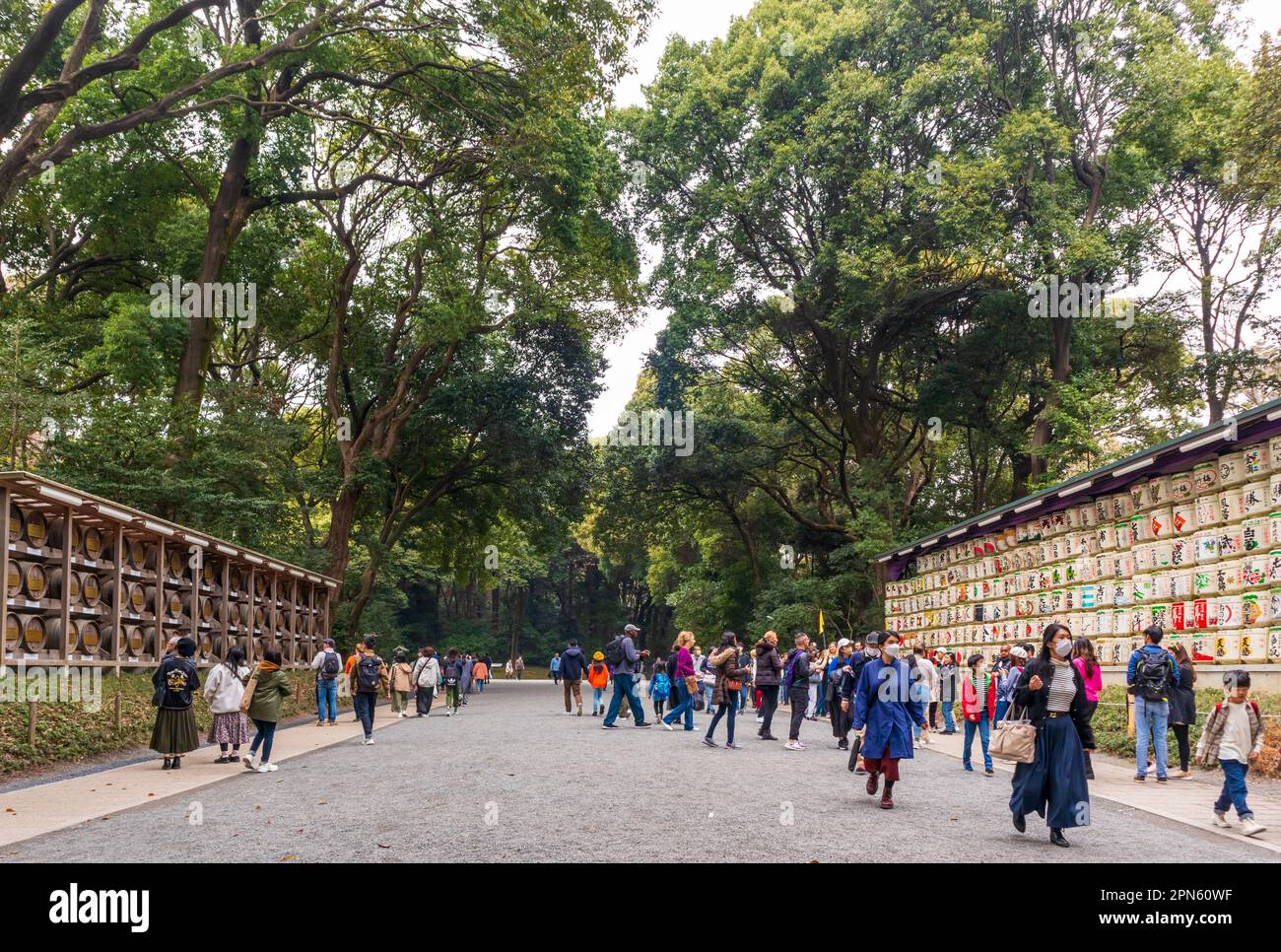 Tokyo, Giappone - 21 marzo 2023: Meiji Jingu, santuario shintoista dedicato agli spiriti deificati dell'imperatore Meiji e della moglie Empress Shoken a Tokyo Foto Stock