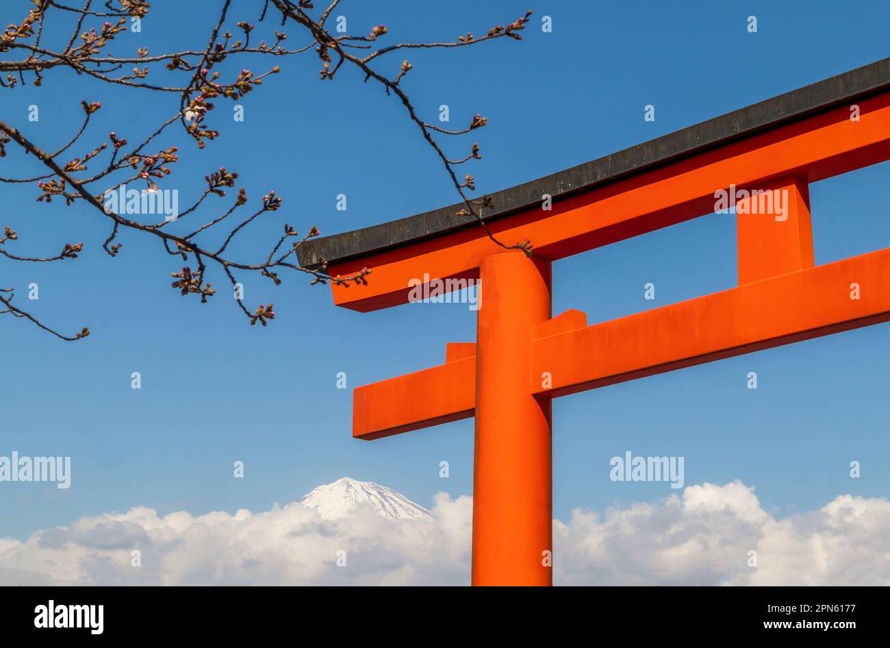 La cima di un torii rosso e di un ramo Sakura con il Monte Fuji nuvoloso sullo sfondo Foto Stock