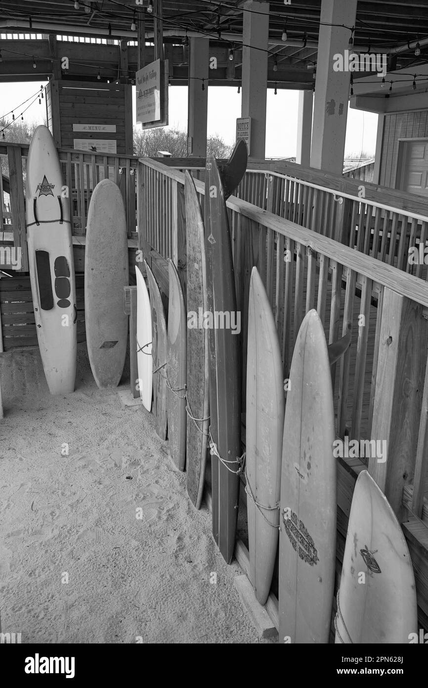 Paesaggio Con Tavole Da Surf Sulla Spiaggia Sabbiosa E Palme | Vettore - Foto 7