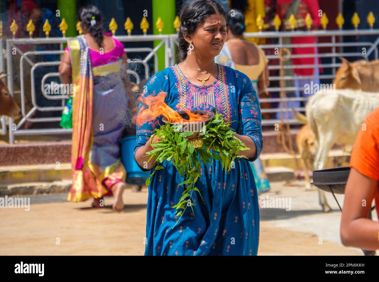 Devoto che porta un'offerta bruciante in un tempio indù nel nord dello Sri Lanka Foto Stock