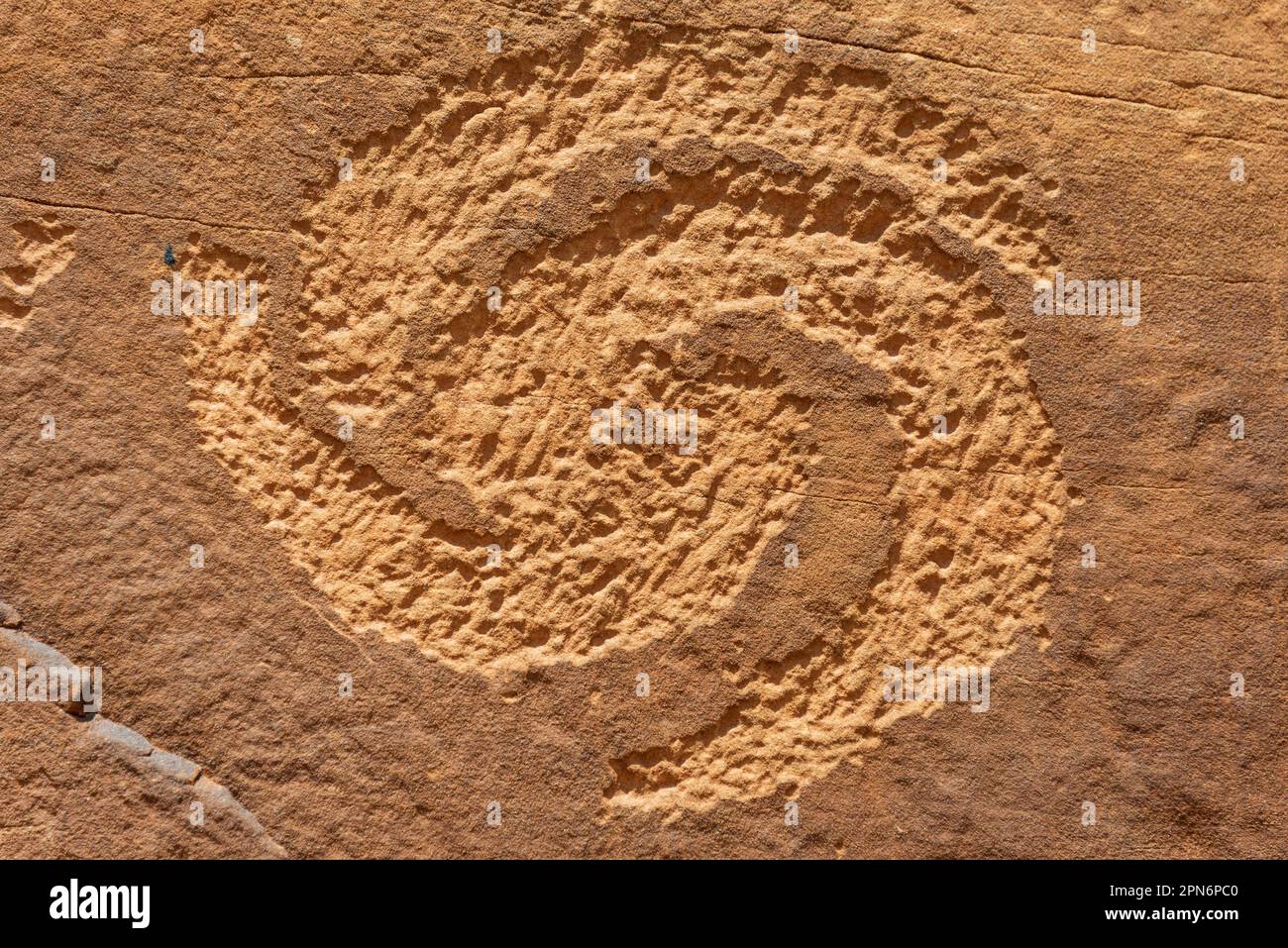 Monumento nazionale dei dinosauri in Colorado Foto Stock