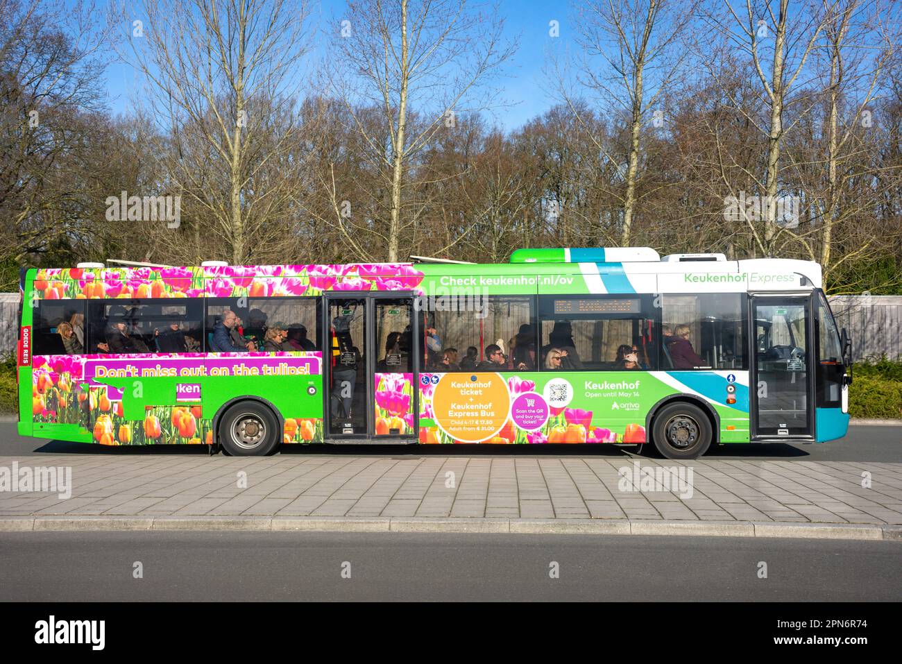 Keukenhof Express Bus, Keukenhof Gardens, Lisse, South Holland (Zuid-Holland), Regno dei Paesi Bassi Foto Stock