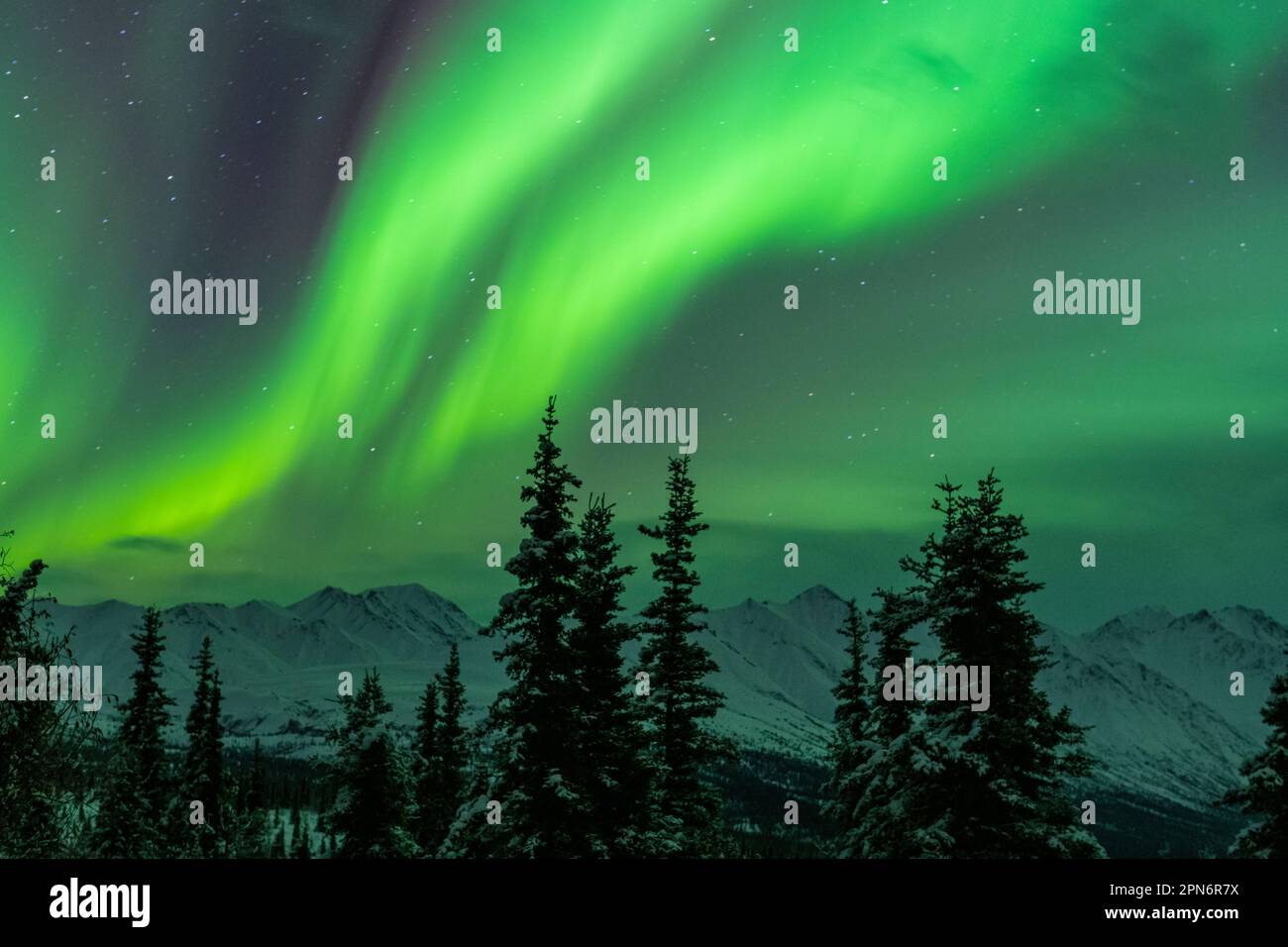 Luci del Nord sopra la catena montuosa di Chugach, Alaska Foto Stock