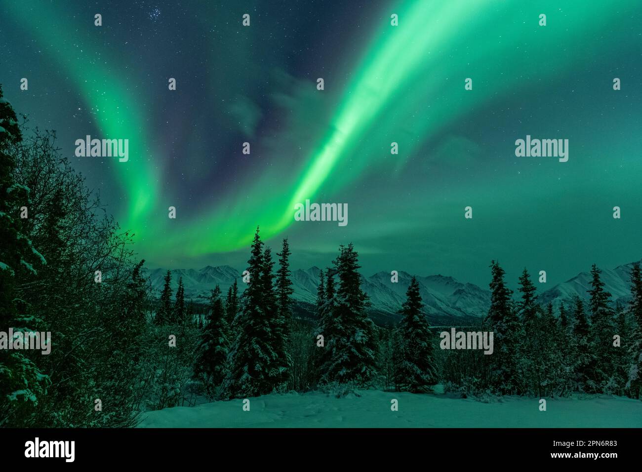 Luci del Nord sopra la catena montuosa di Chugach, Alaska Foto Stock