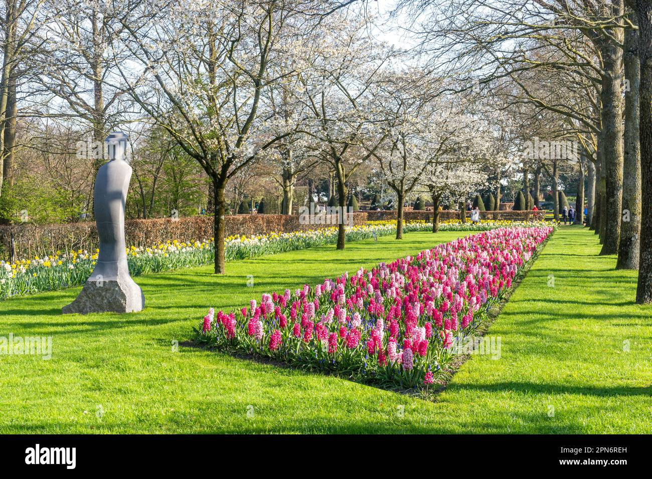 Keukenhof Gardens, Lisse, Olanda del Sud (Zuid-Holland), Regno dei Paesi Bassi Foto Stock