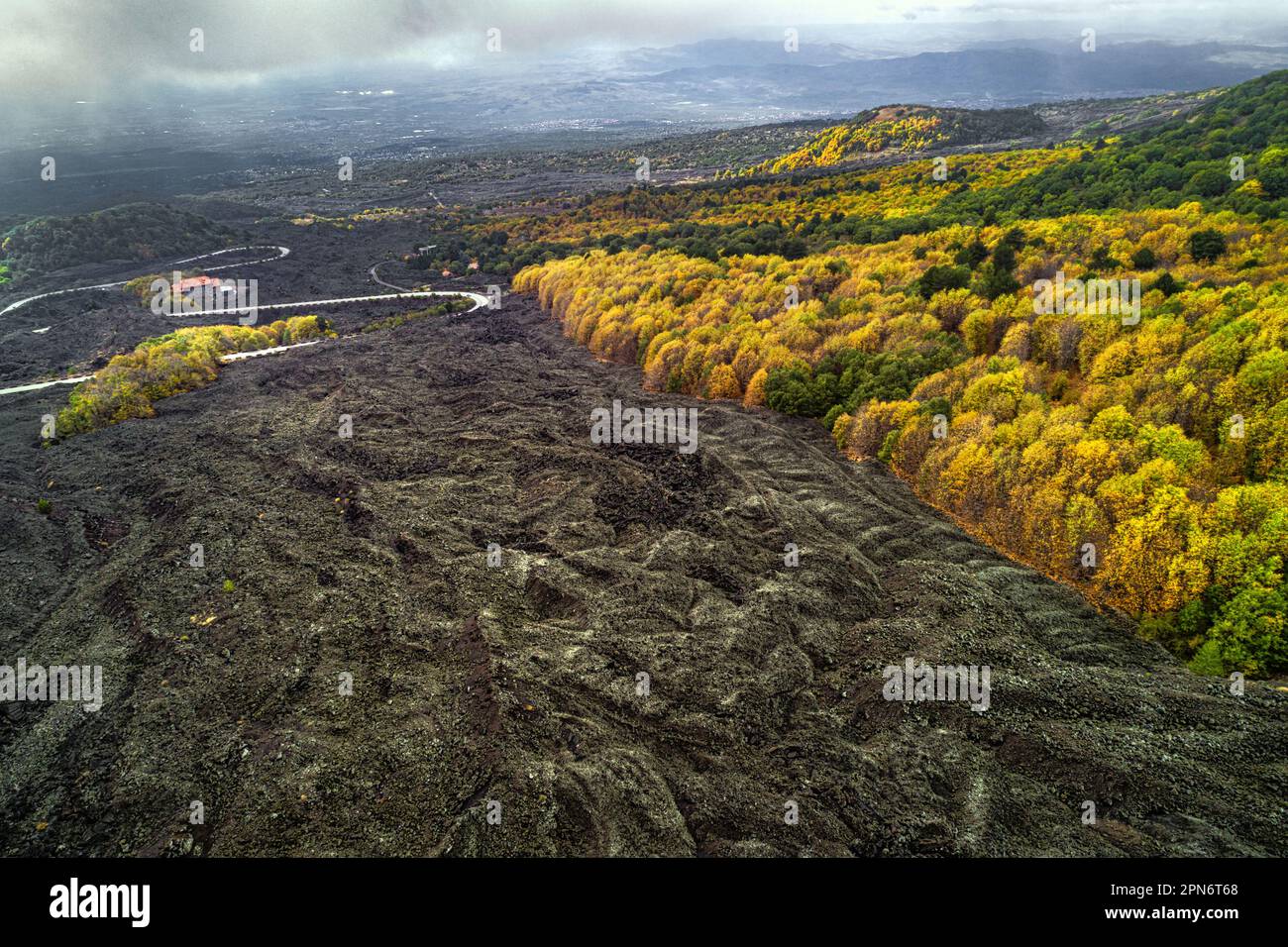 Vista aerea del flusso lavico sulle pendici del vulcano Etna, boschi di larici, faggi e pini colorano il paesaggio. Parco Nazionale dell'Etna, Sicilia, Foto Stock