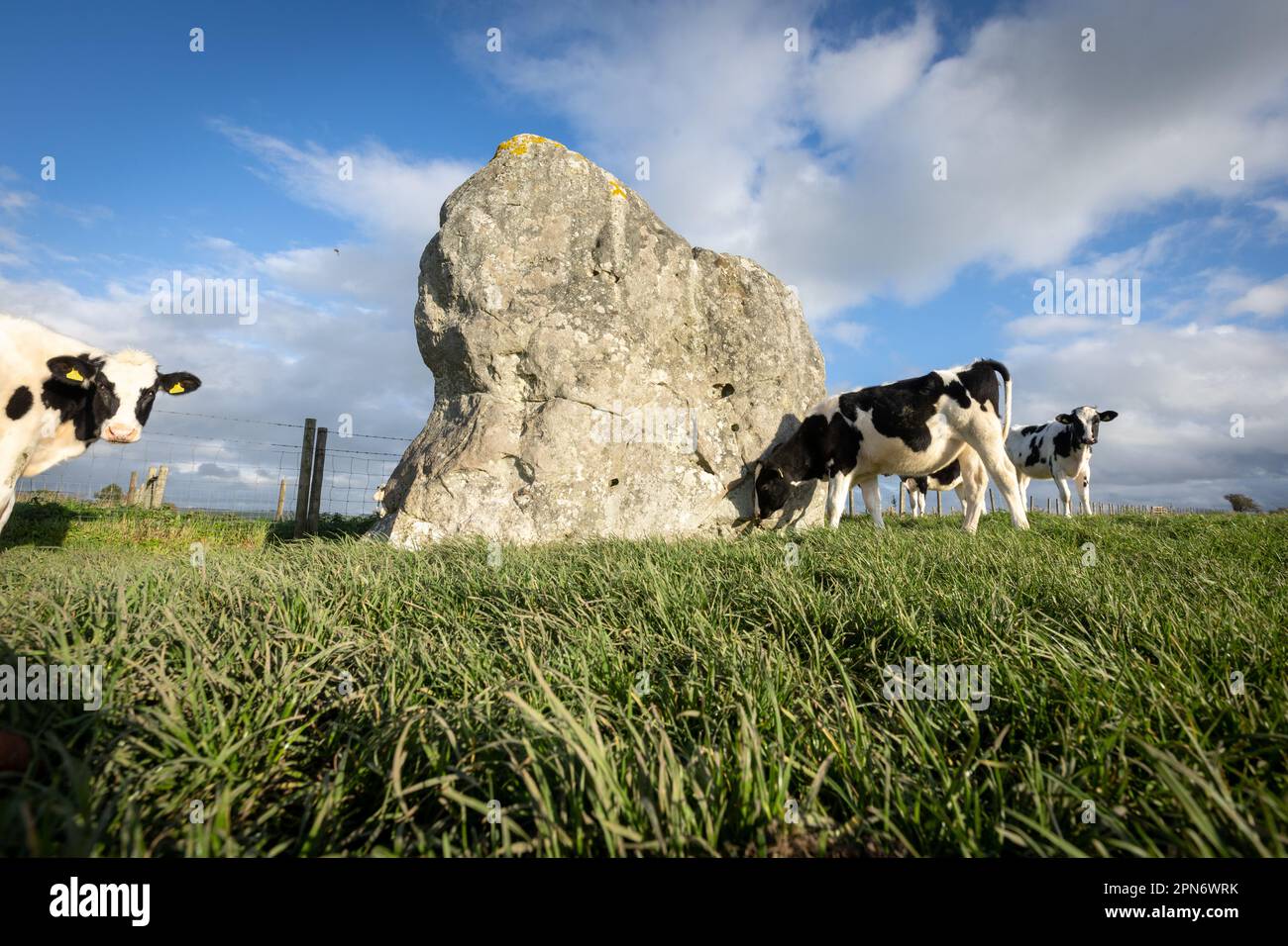 Avebury henge e cerchi di pietra il 11th novembre 2022 ad Avebury, Wiltshire, Inghilterra. Credit: Notizie SMP Foto Stock