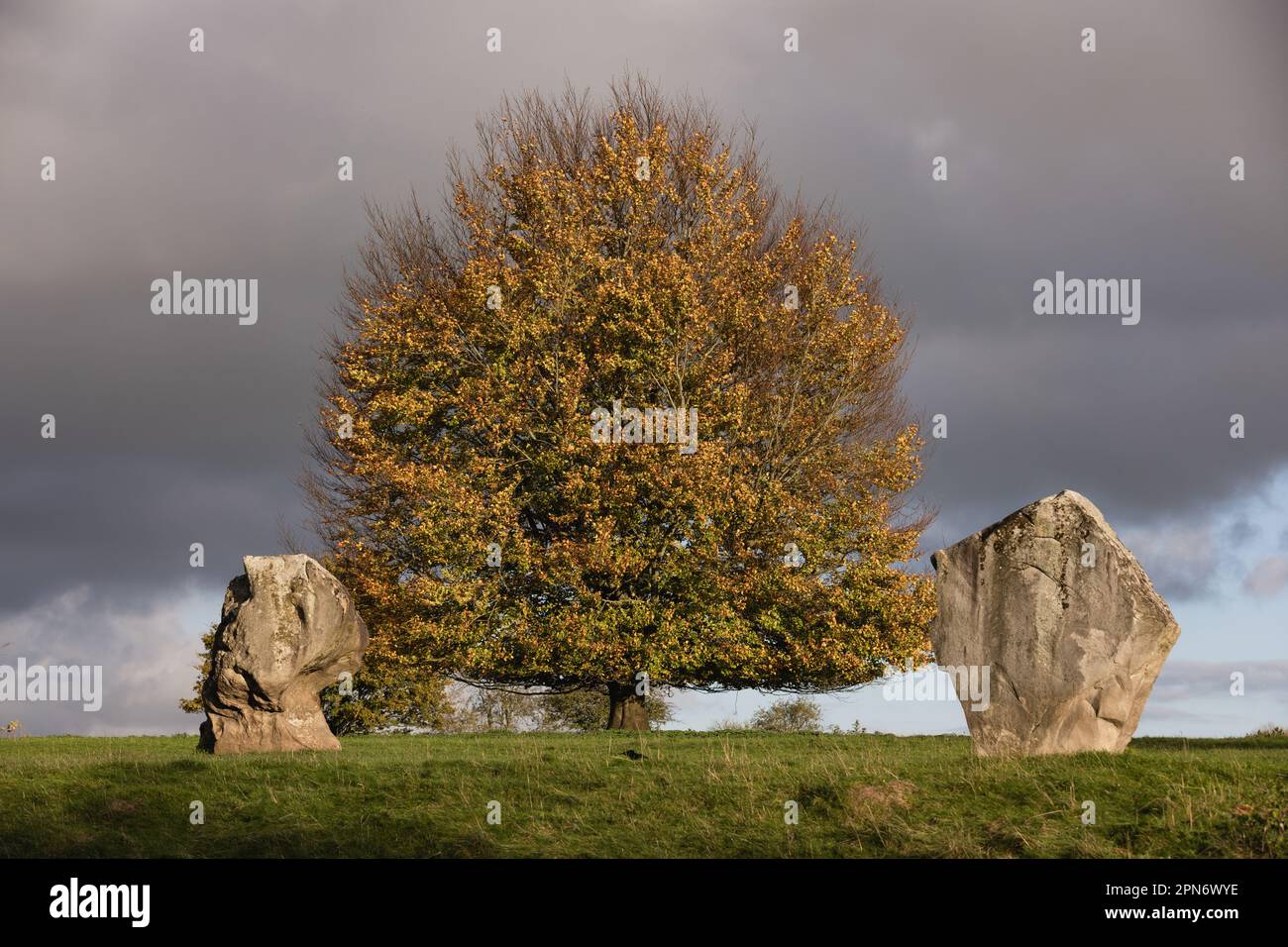 Avebury henge e cerchi di pietra il 11th novembre 2022 ad Avebury, Wiltshire, Inghilterra. Credit: Notizie SMP Foto Stock