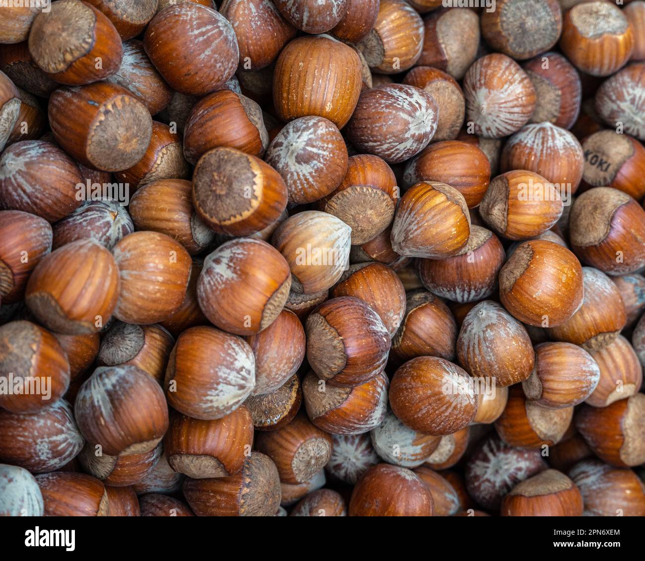 Le nocciole, dette anche avellana, sono il frutto della nocciola. Per la vendita presso lo stallo del mercato. Abruzzo, Italia, Europa Foto Stock