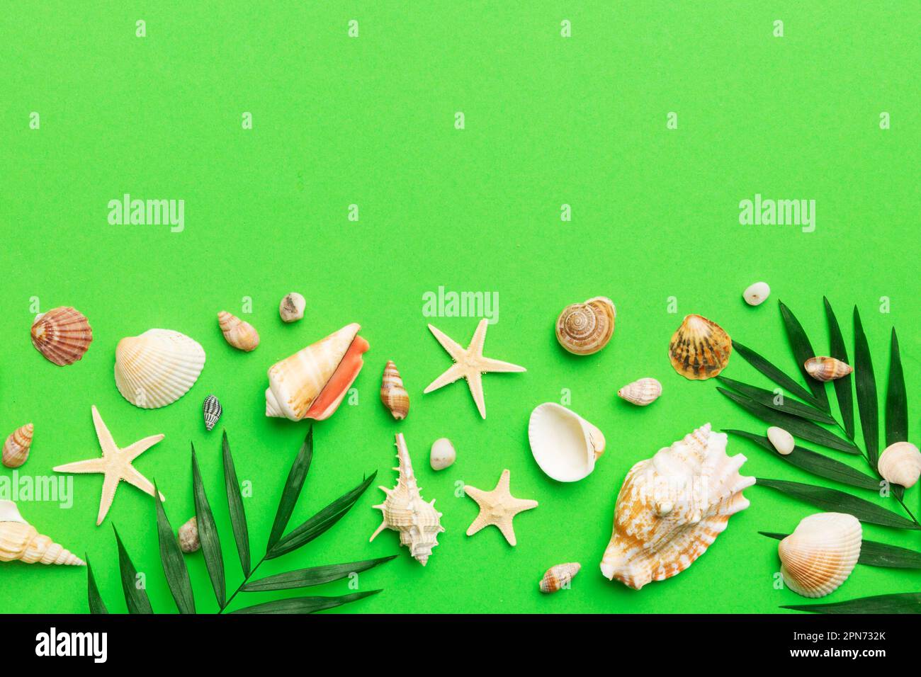 Concetto estate tempo composizione piatta con belle stelle marine e conchiglie marine su tavola colorata, vista dall'alto con spazio di copia per il testo. Foto Stock