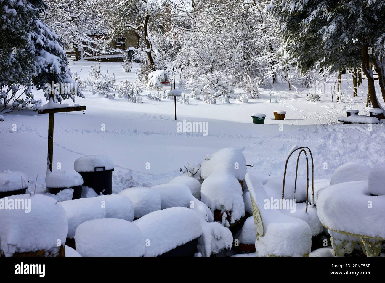 Il giardino la mattina dopo una notte di neve pesante su brughiere piccolo holding a 900ft nel North Yorkshire Foto Stock