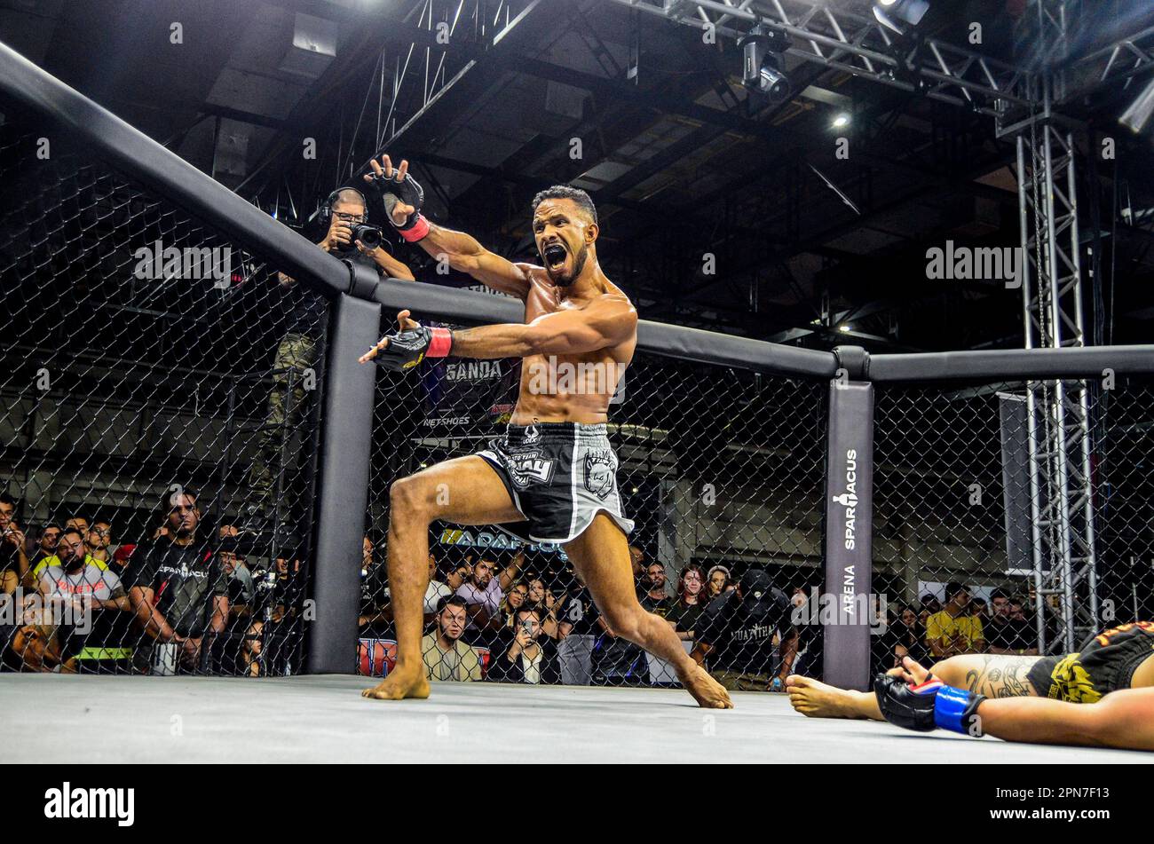 São PAULO, SP - 16.04.2023: São PAULO RECEBE o ARNOLD CLASSIC 2023 - Foto durante la 2023 edizione dell'acclamato Arnold Classic tenutasi presso l'Expo Center Norte di São Paulo, capitale. Nella foto, Copa Thunder de MMA come selettivo São Paulo di MMA Amateur con la vittoria del combattente Rato Team, per sottomissione. (Foto: Belga/Fotoarena) Foto Stock