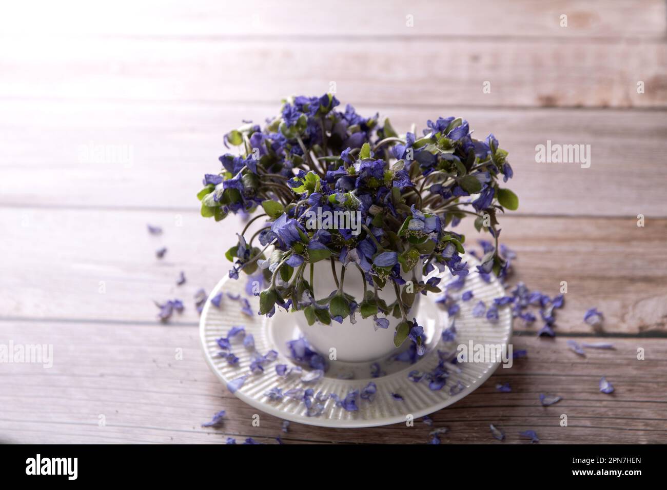 foto di fiori selvaggi in piedi in una tazza da caffè Foto Stock