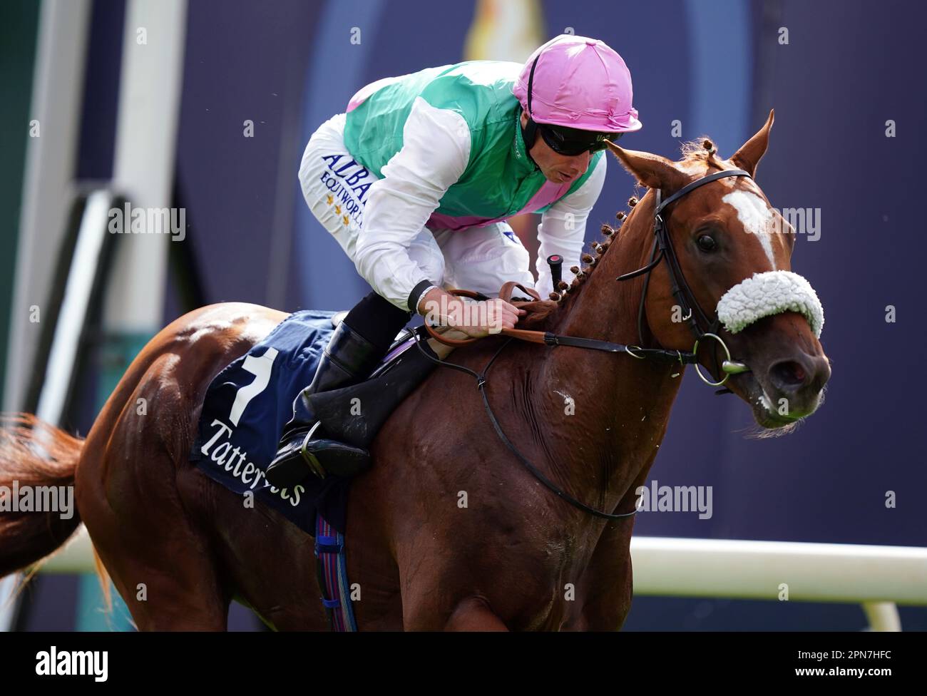 Foto del file datata 17-08-2022 di Chaldean, che figura tra le voci per ciò che potrebbe essere un watership rosso-caldo giù Stud Too Darn Hot Greenham Stakes a Newbury. Data di emissione: Lunedì 17 aprile 2023. Foto Stock