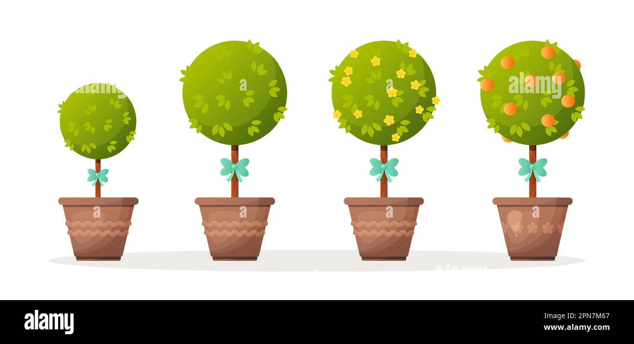 Cespugli topiari o alberi in vasi da fiori set di illustrazioni vettoriali Illustrazione Vettoriale