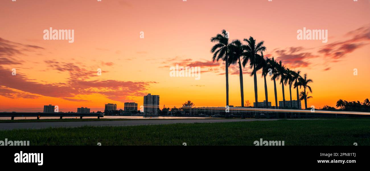 Una tranquilla scena di alte e lussureggianti palme che fiancheggiano un idilliaco fronte spiaggia al tramonto Foto Stock