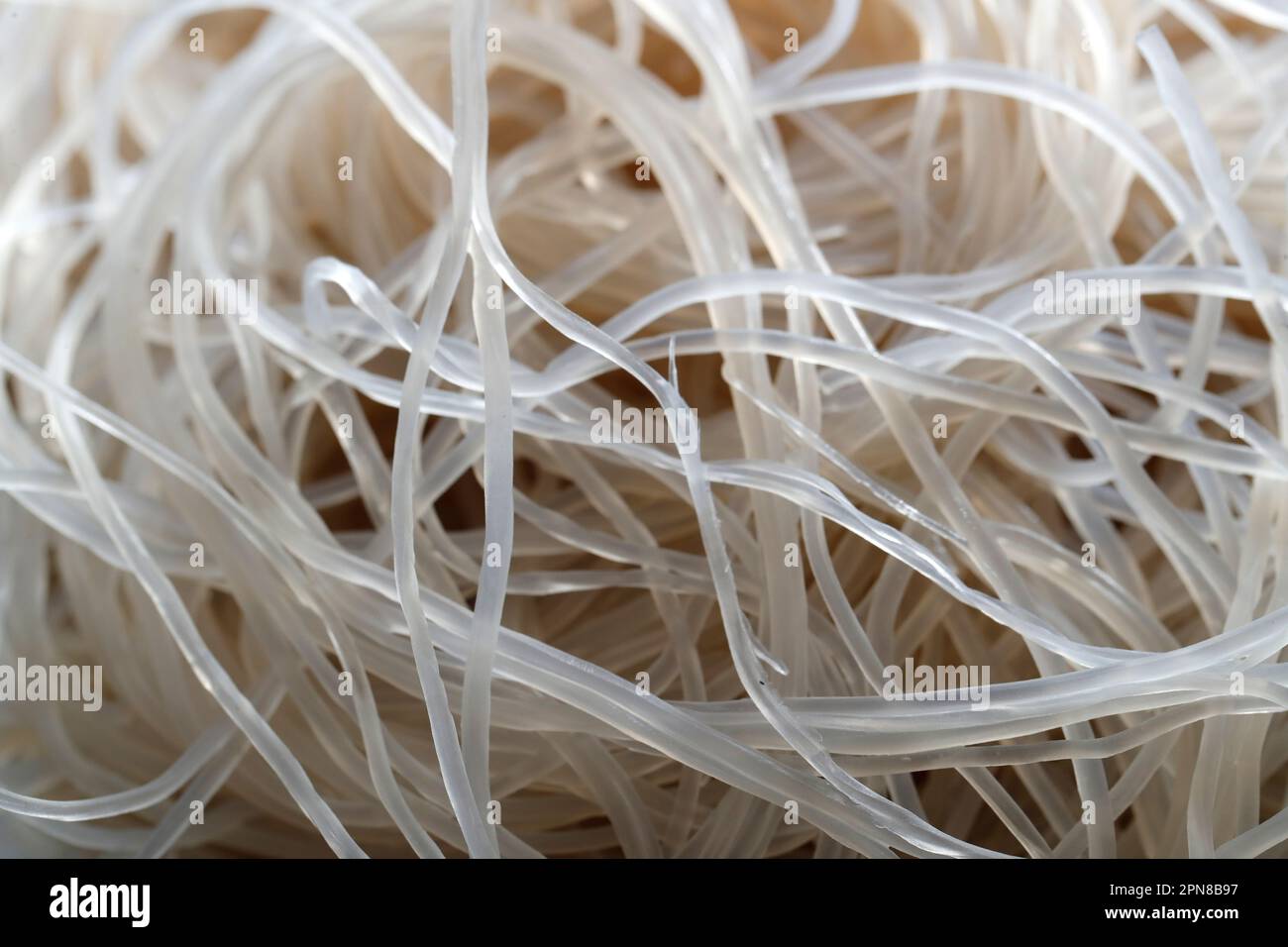 Cucina asiatica. Tagliatelle di tapioca per zuppa vietnamita. Foto Stock