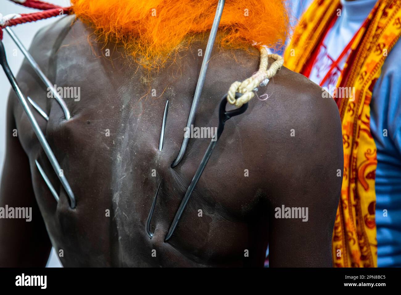 Charak Puja è uno dei festival religiosi tradizionali. In questa puja, pende sull'albero di Charak con un barashi legato intorno alla sua schiena. Foto Stock