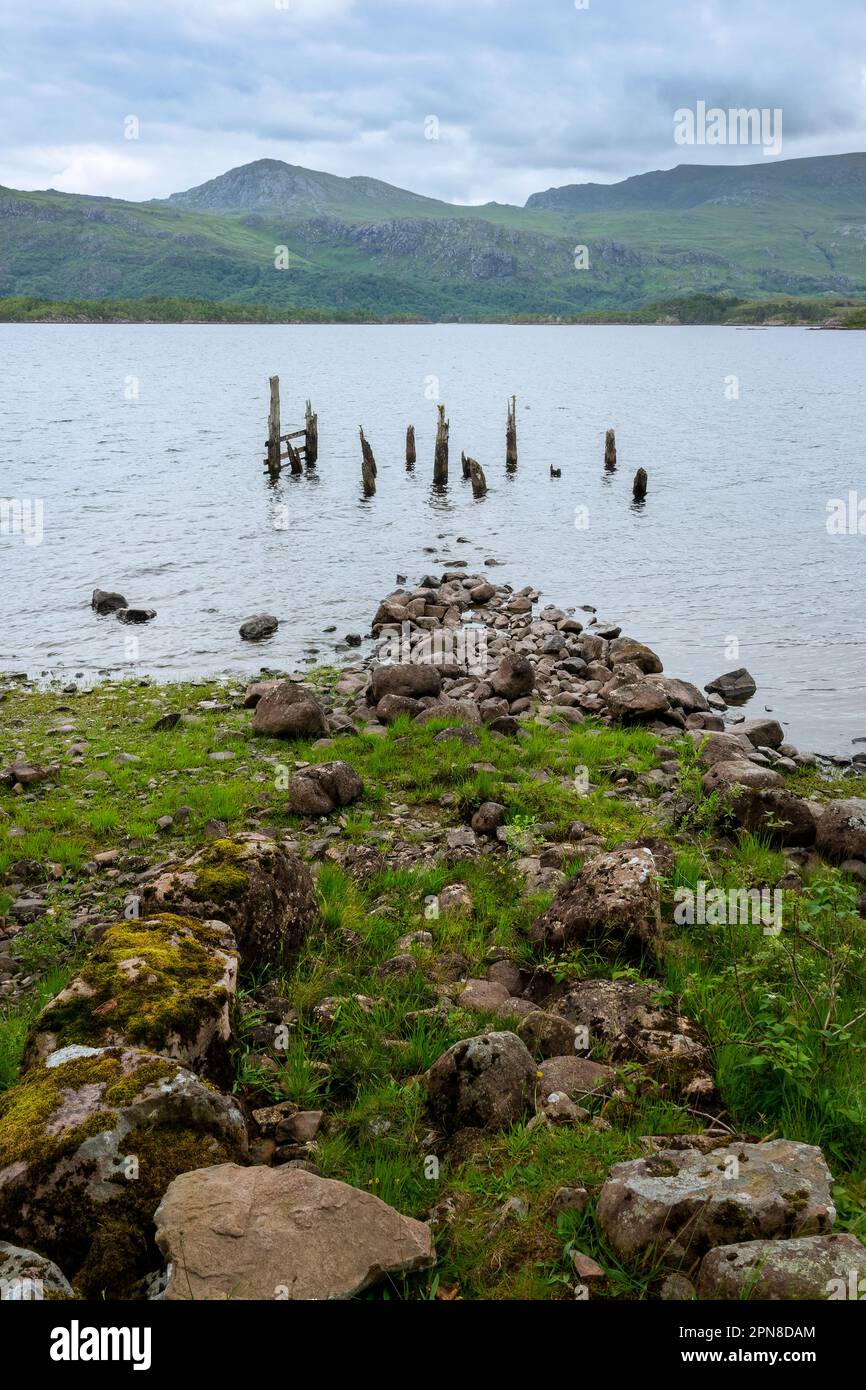 Lochside paesaggio a Loch Maree vicino Gairloch nel Nord Ovest Highlands, Scozia Regno Unito Foto Stock