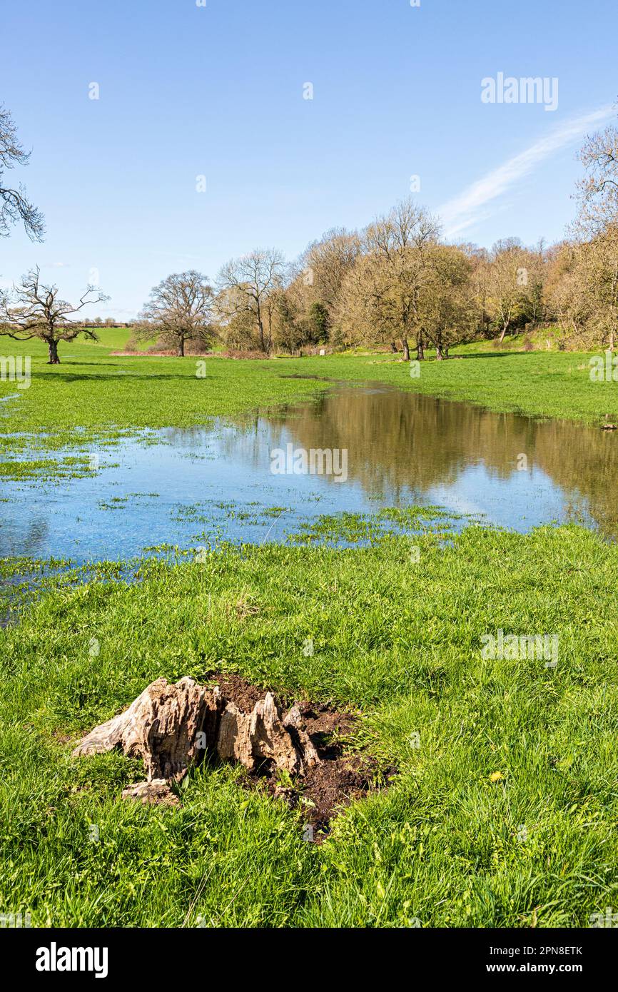 Il sentiero del Tamigi lungo percorso a piedi accanto al neonato Tamigi 200 metri dalla sua sorgente a Tamigi Head sul Cotswolds vicino a Kemble, Glo Foto Stock