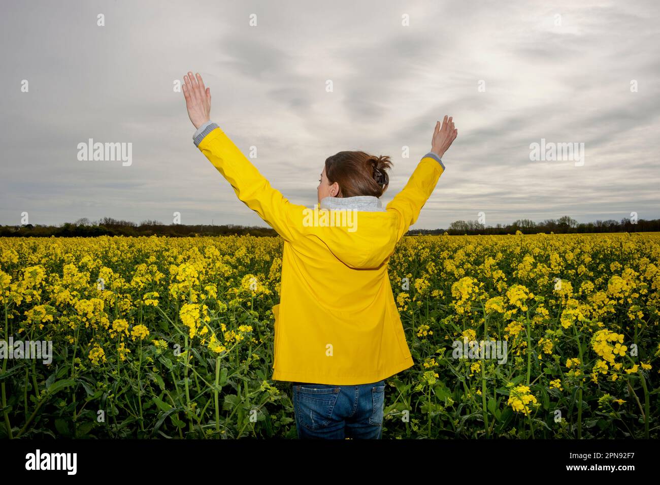 donna che alza le braccia in un campo giallo festeggia la primavera Foto Stock