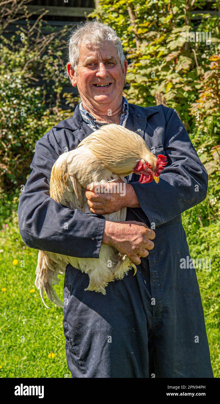 contadino e il suo cockerel animale domestico Foto Stock