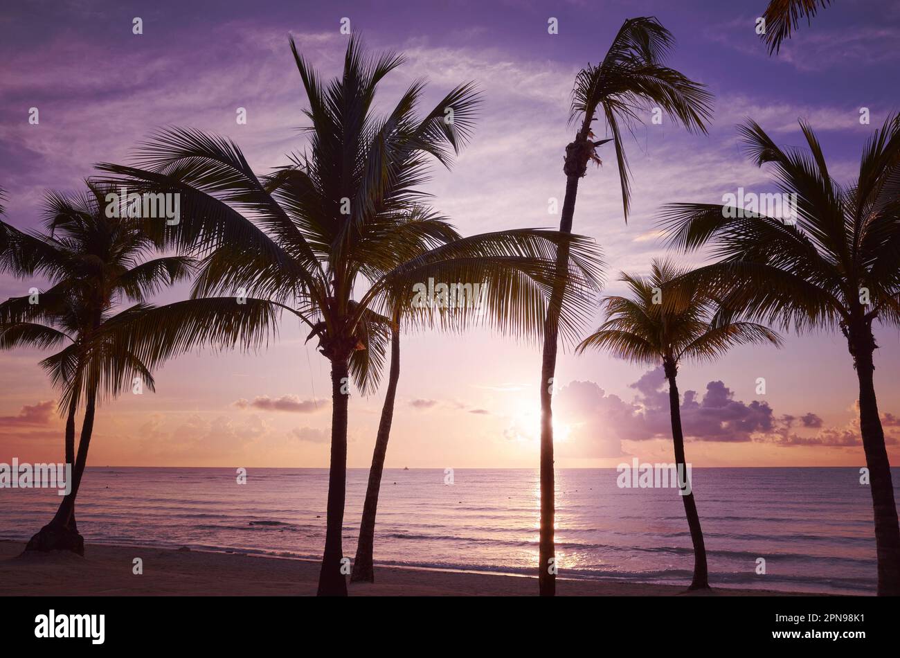 Spiaggia tropicale al tramonto viola, tonificazione cromatica applicata, Messico. Foto Stock