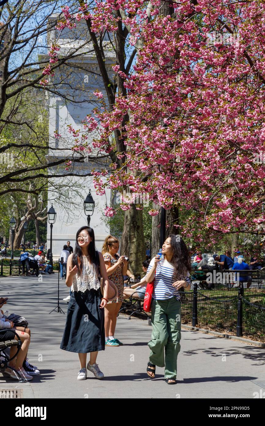 Le donne camminano, si godono il clima primaverile, il Washington Square Park, il Greenwich Village, New York City. Foto Stock