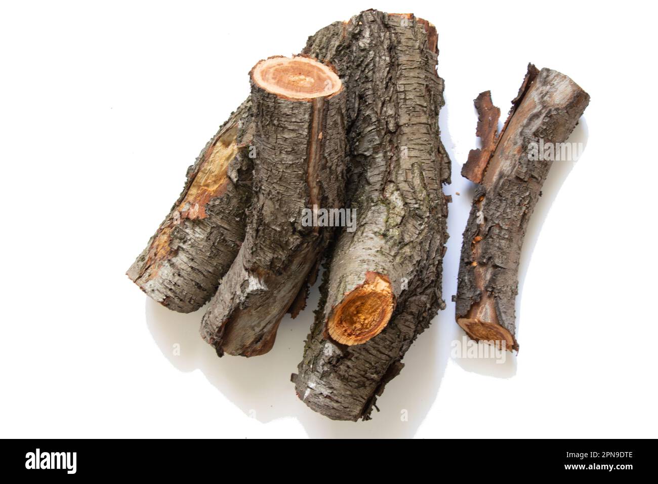 tagliare il vecchio log di ciliegia su uno sfondo bianco Foto Stock