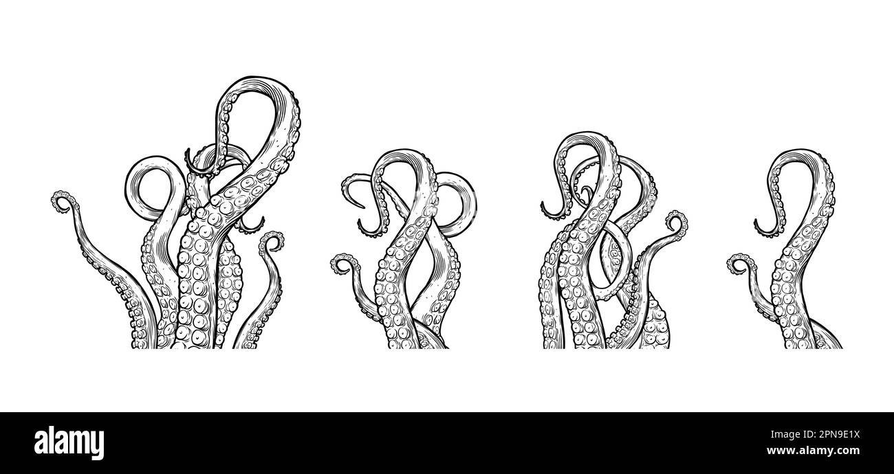 Tentacoli di polipo che raggiungono l'alto, parti del corpo di animali marini simili a calamari che sporgono dalla cornice, tagliati per la progettazione di alimenti o cornici, disegni di cartoni animati. Illustrazione Vettoriale