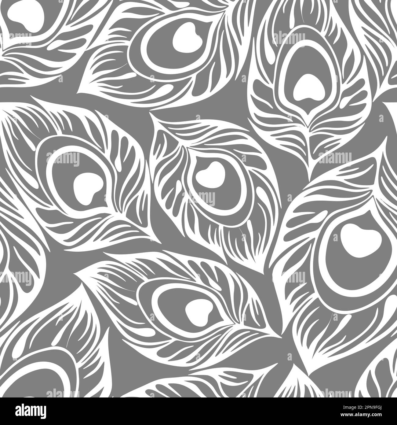 contorno senza cuciture di piume bianche di pavone su sfondo grigio, texture, design Foto Stock