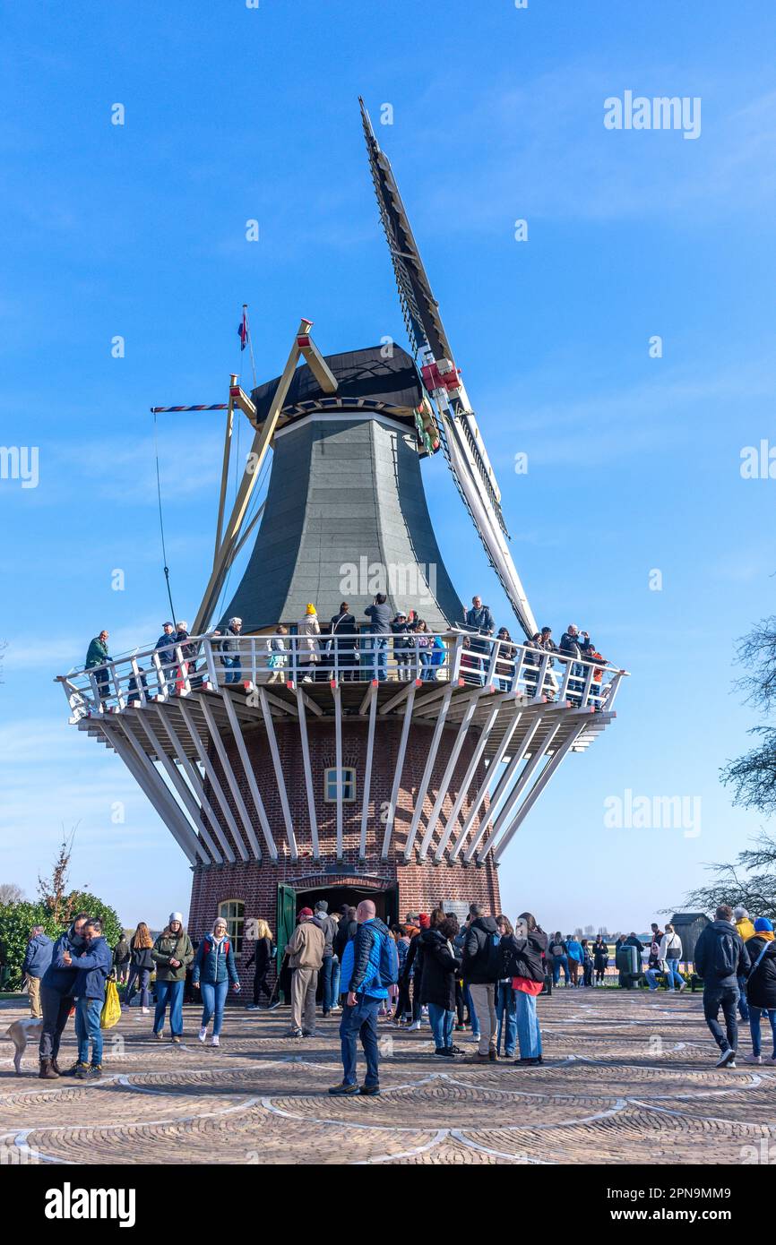 The Mill, Keukenhof Gardens, Lisse, South Holland (Zuid-Holland), Regno dei Paesi Bassi Foto Stock