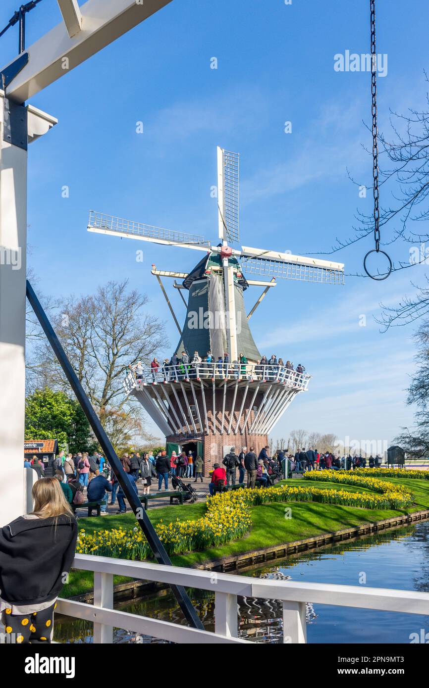 Il mulino e il ponte sul canale, Keukenhof Gardens, Lisse, South Holland (Zuid-Holland), Regno dei Paesi Bassi Foto Stock