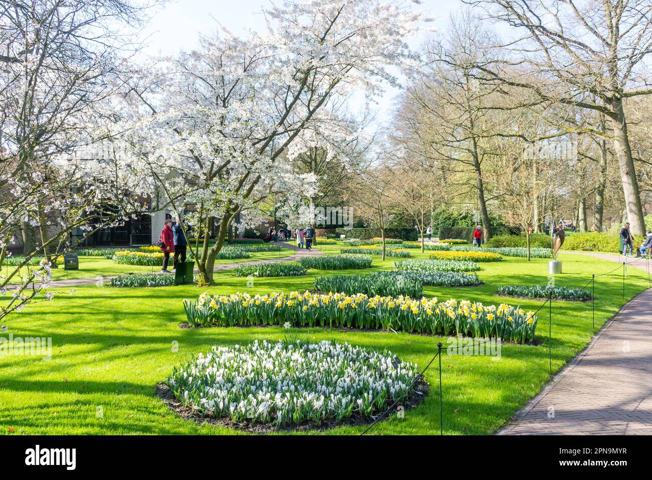 Campo di fiori e fiori, Giardini Keukenhof, Lisse, Olanda del Sud (Zuid-Olanda), Regno dei Paesi Bassi Foto Stock