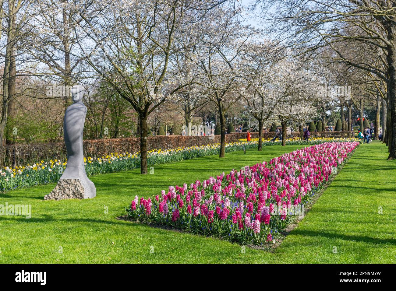 Campo di fiori e fiori, Giardini Keukenhof, Lisse, Olanda del Sud (Zuid-Olanda), Regno dei Paesi Bassi Foto Stock