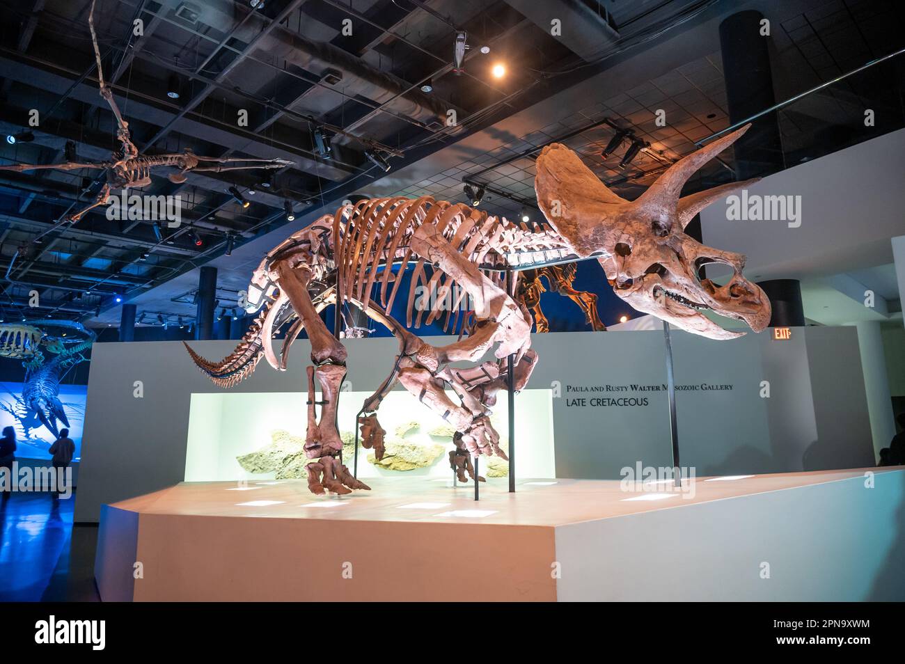 Houston, Texas - 7 aprile 2023: Mostre di dinosauri al Museo di Scienze naturali di Houston. Foto Stock